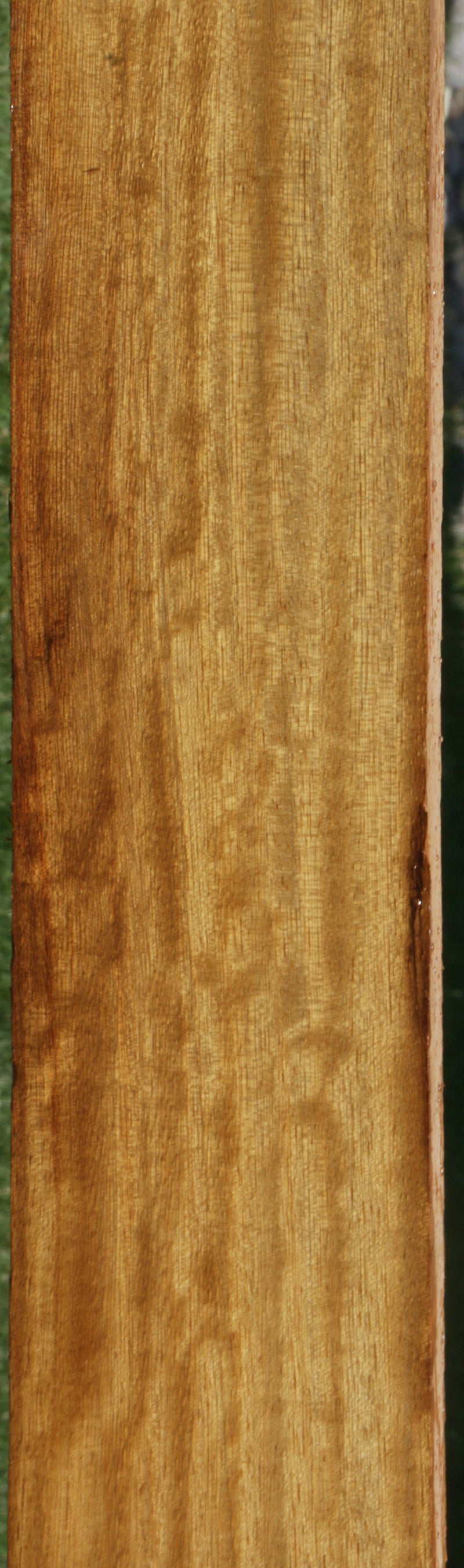 Fiddleback African Teak Lumber
