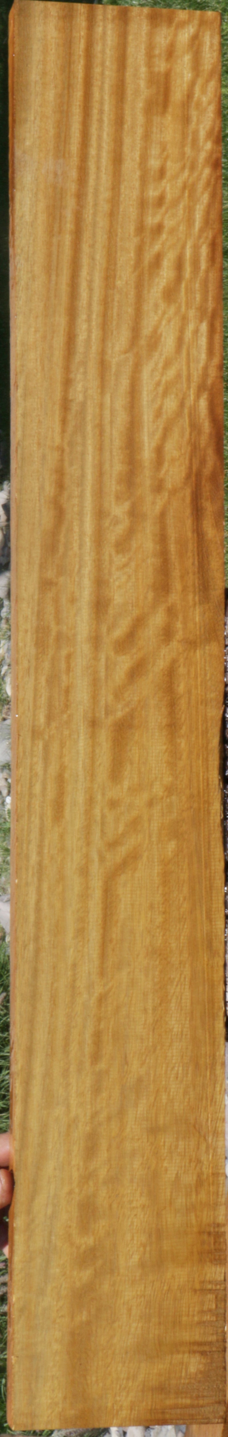 Fiddleback African Teak Lumber