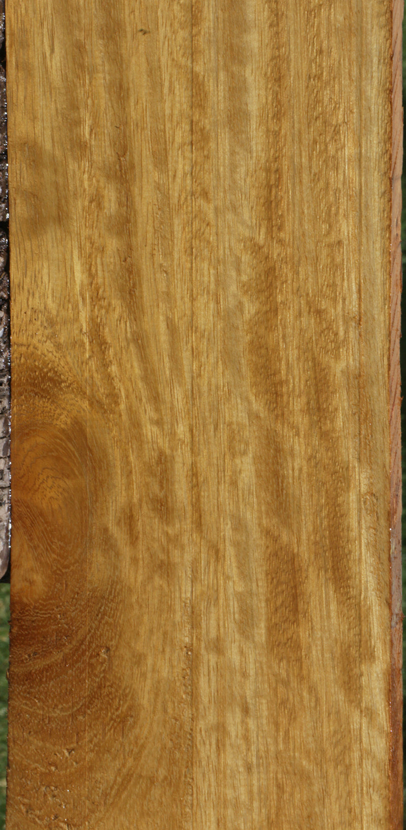 Extra Fancy African Teak Lumber