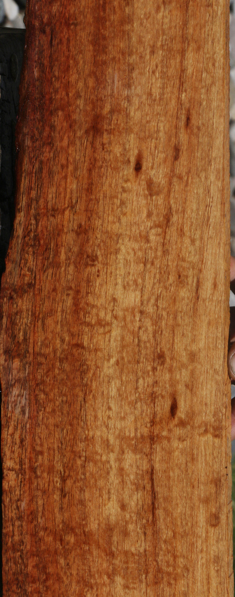 Hawaiian Koa Live Edge Micro Lumber