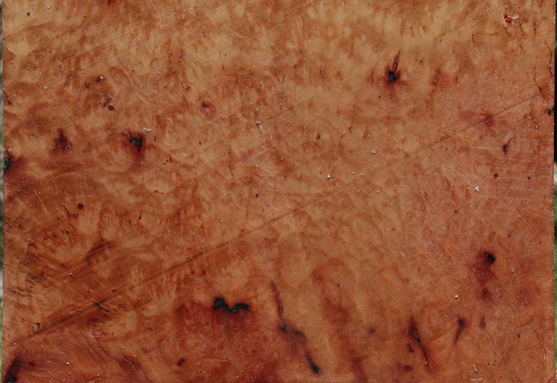 Madrone Burl Live Edge Bowl Blank