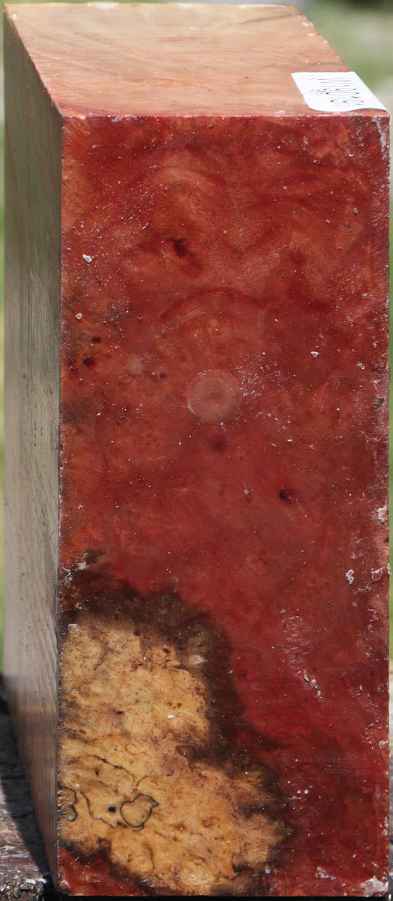 Extra Fancy Madrone Bowl Blank