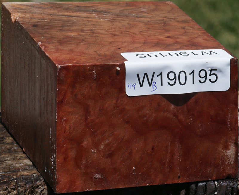 Madrone Burl Turning Blank