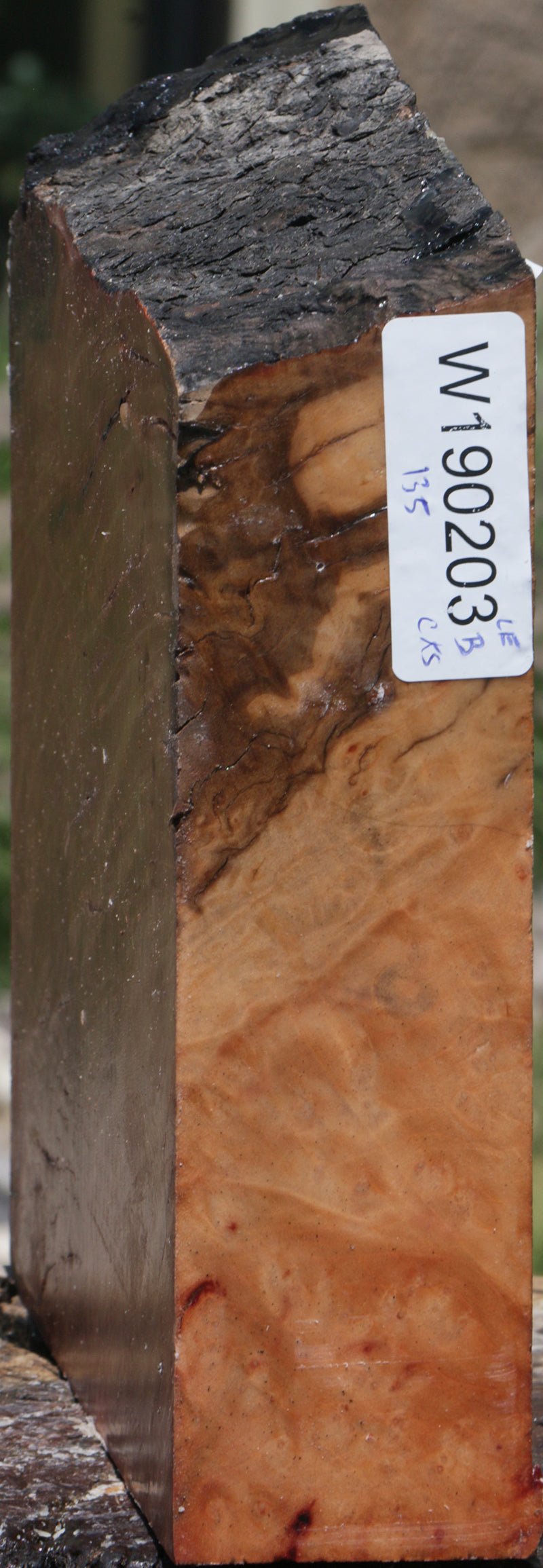 Madrone Burl Live Edge Bowl Blank