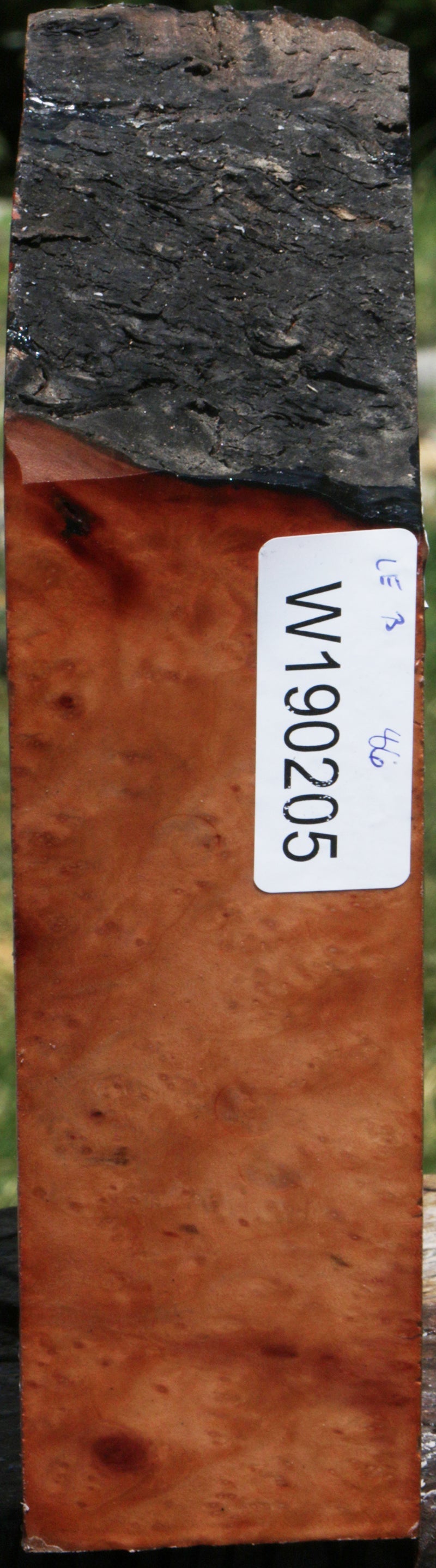 Madrone Burl Live Edge Bowl Blank