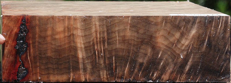 Madrone Burl Bowl Blank