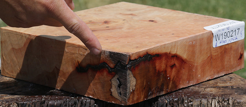 Madrone Burl Bowl Blank