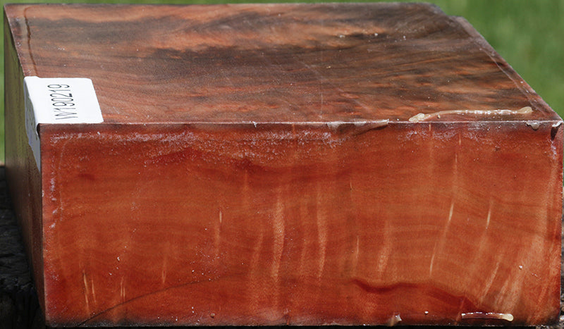Madrone Burl Bowl Blank