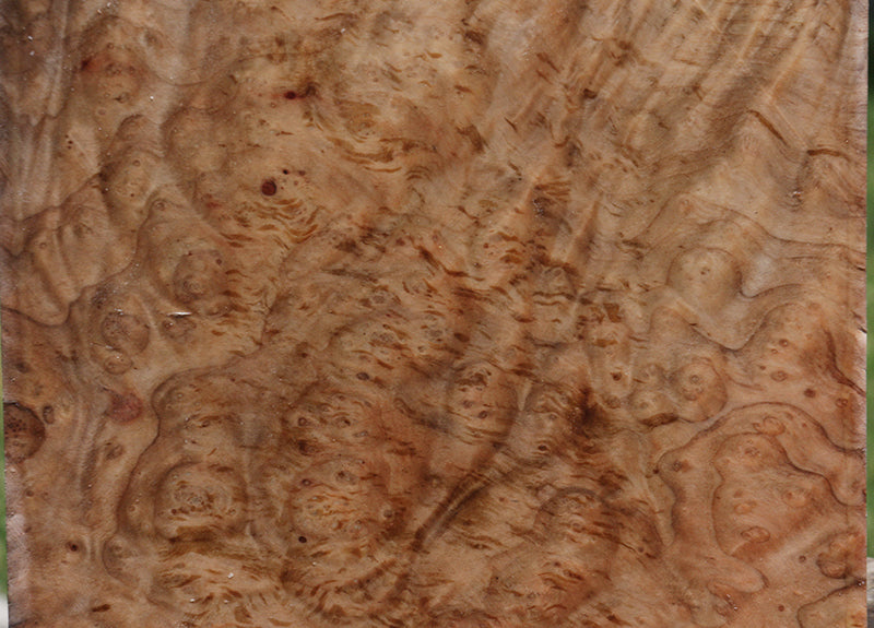 Madrone Burl Bowl Blank