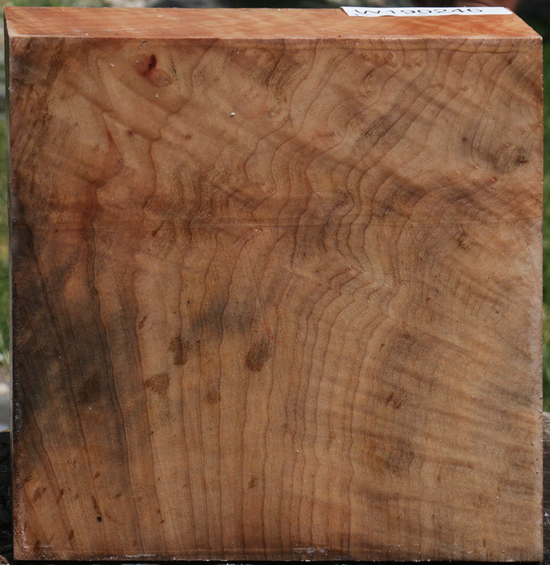 Extra Fancy Madrone Bowl Blank
