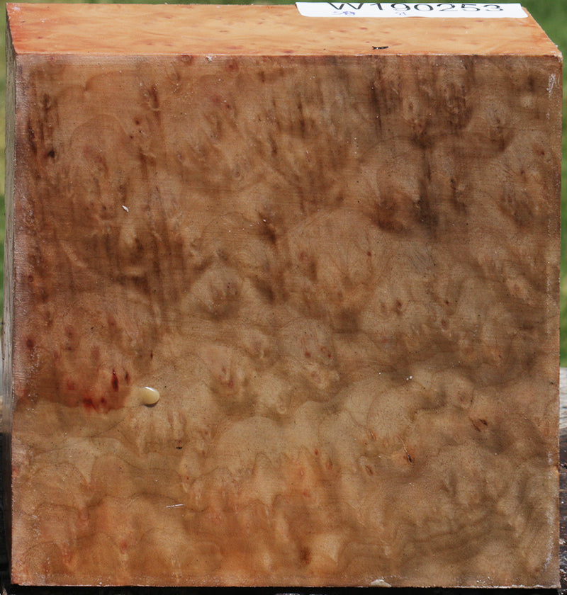 Madrone Burl Bowl Blank