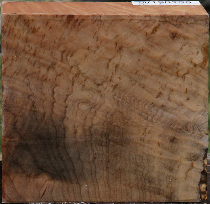 Extra Fancy Madrone Bowl Blank