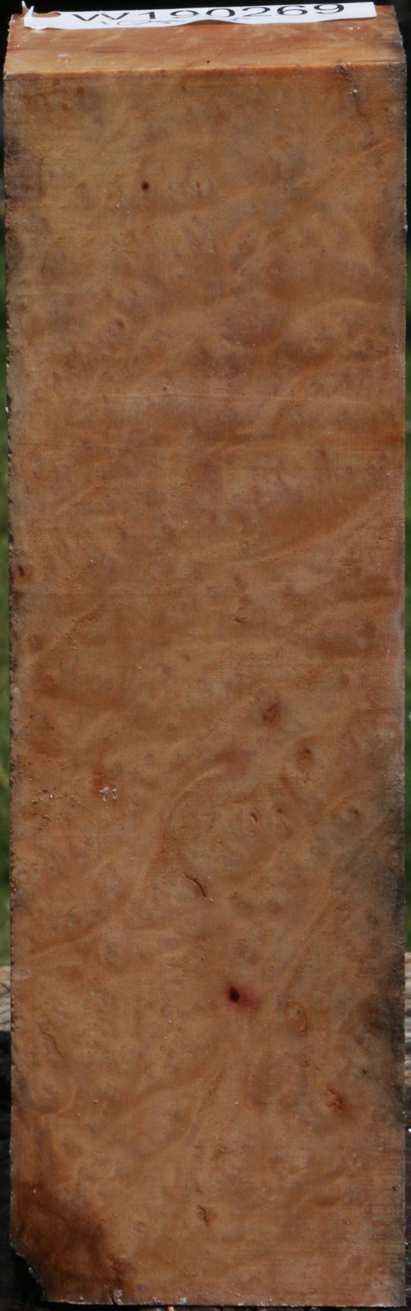 Madrone Burl Turning Square