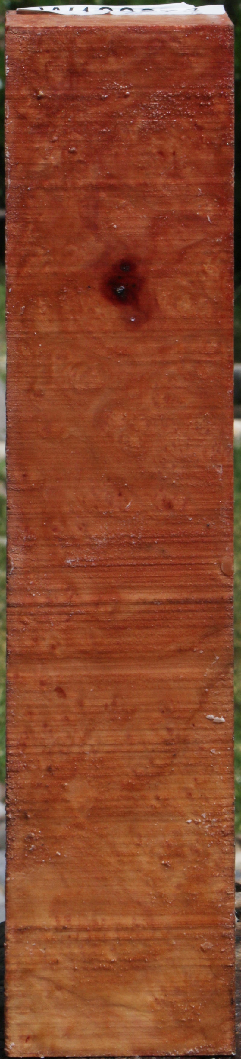 Madrone Burl Turning Square