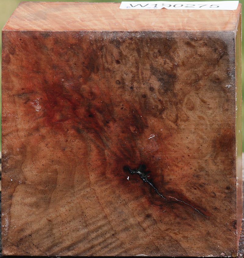 Madrone Burl Bowl Blank