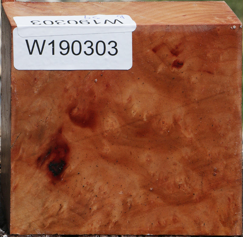 Madrone Burl Bowl Blank