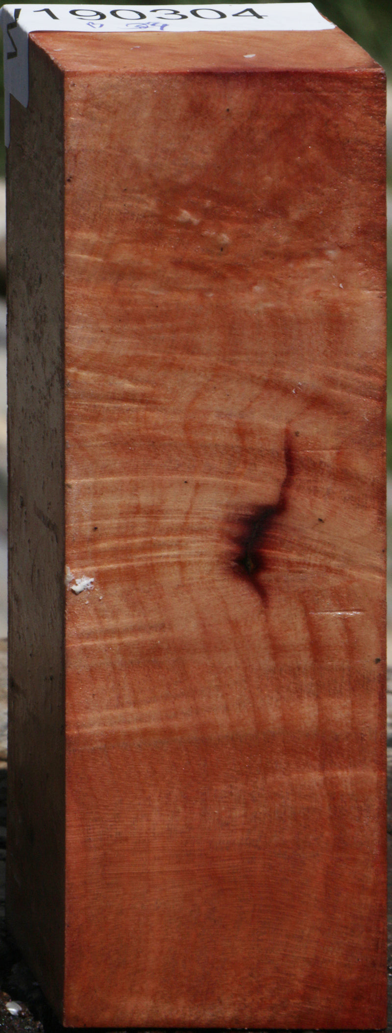 Madrone Burl Turning Square