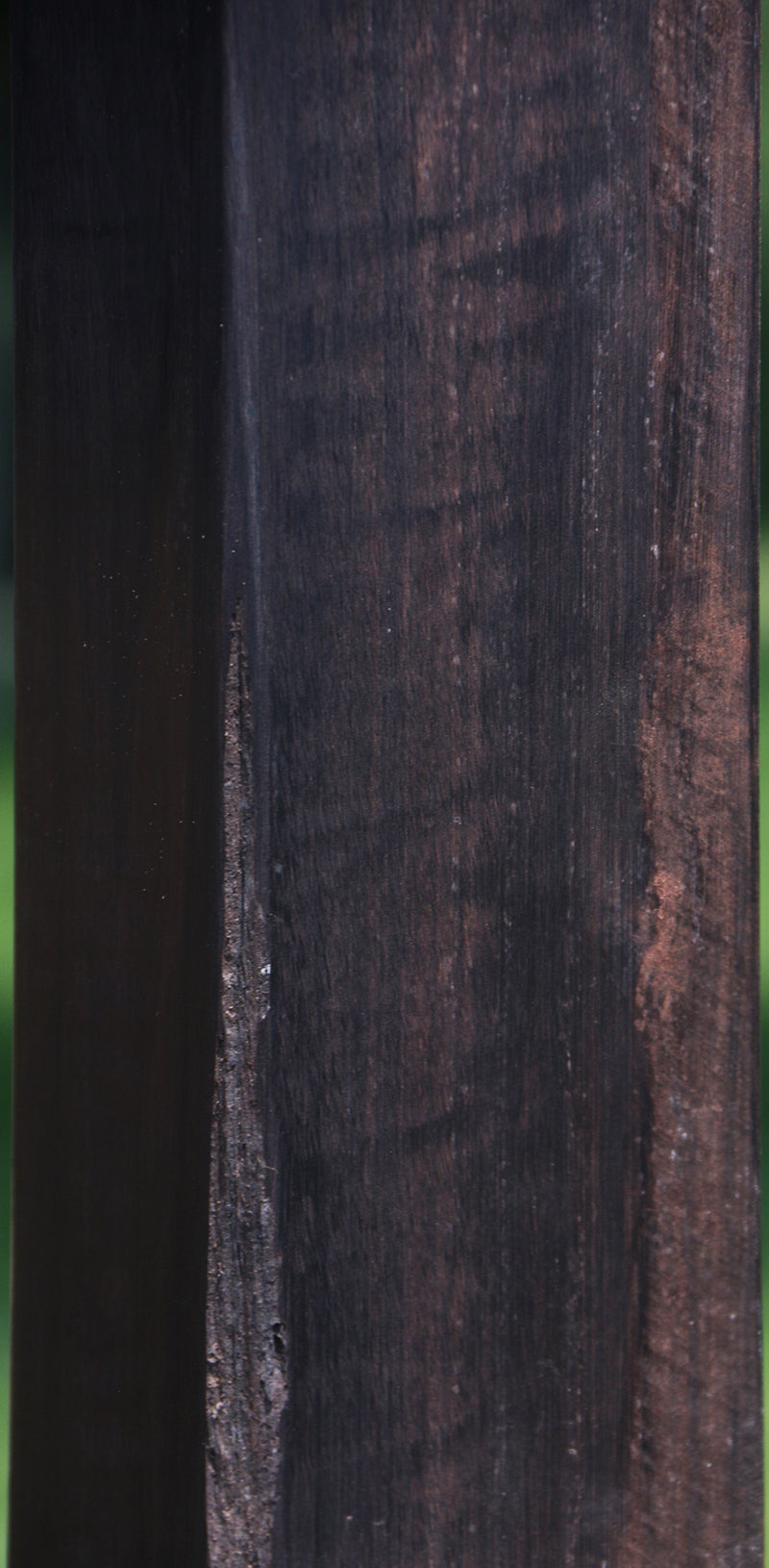 African Blackwood Instrument Blank
