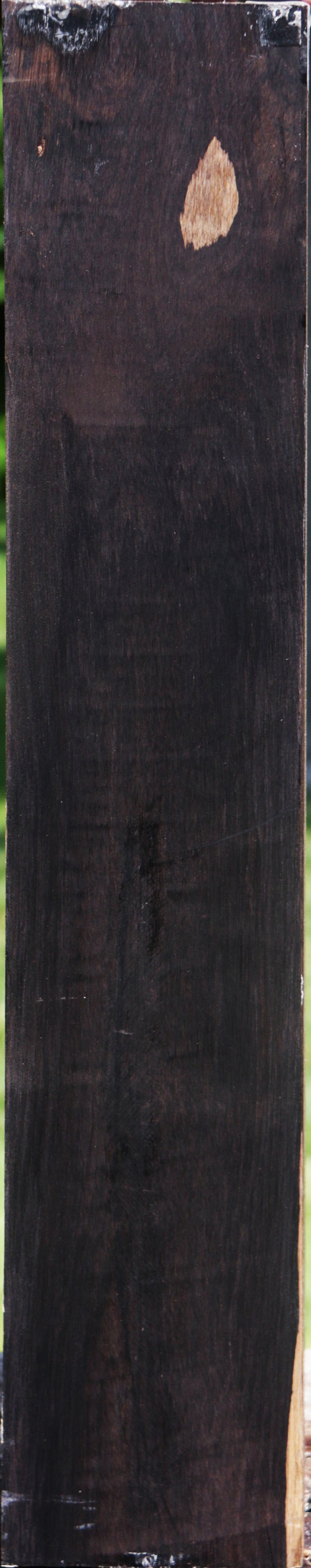 African Blackwood Instrument Blank