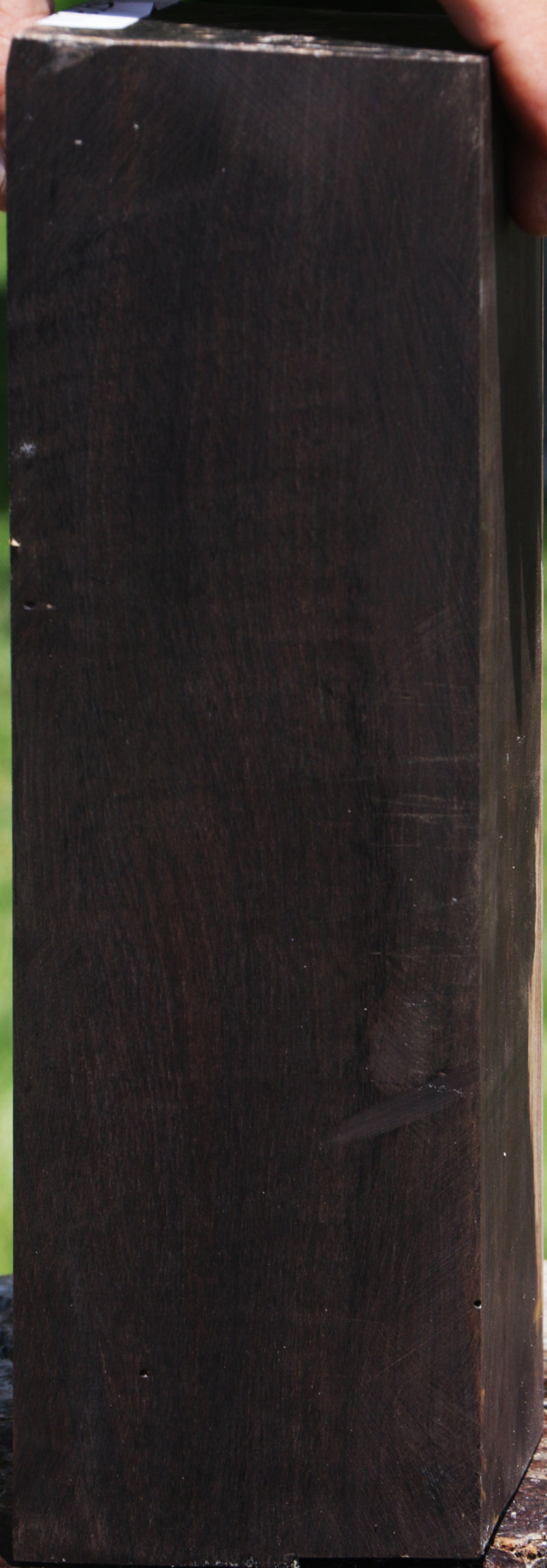 African Blackwood Instrument Blank