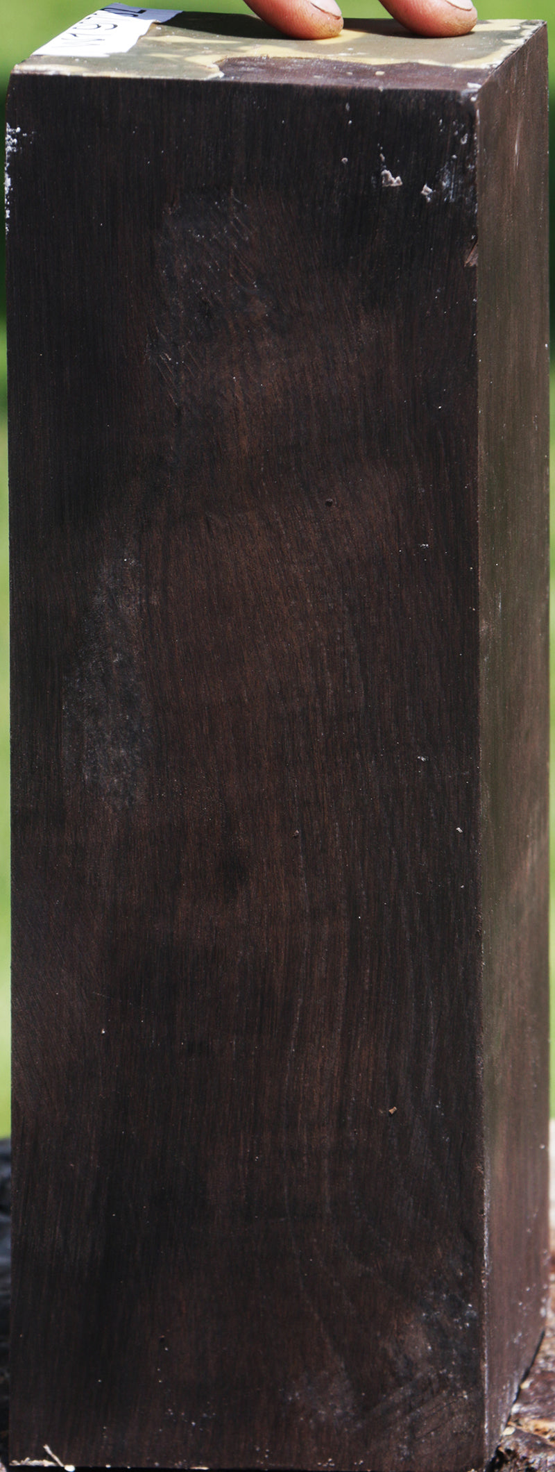 African Blackwood Instrument Blank