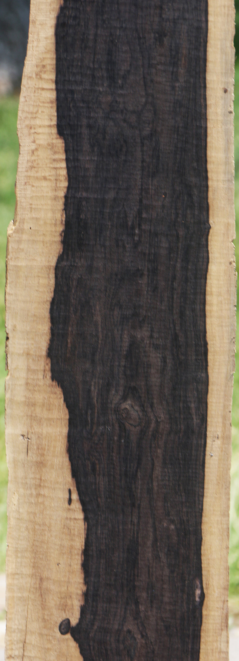 African Blackwood Live Edge Micro Lumber