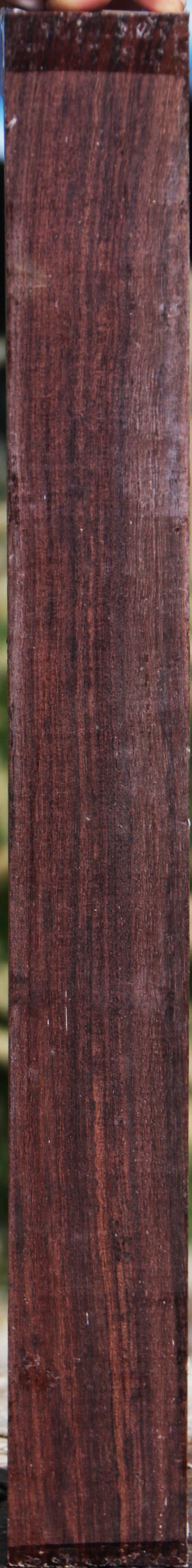 East Indian Rosewood Turning Square