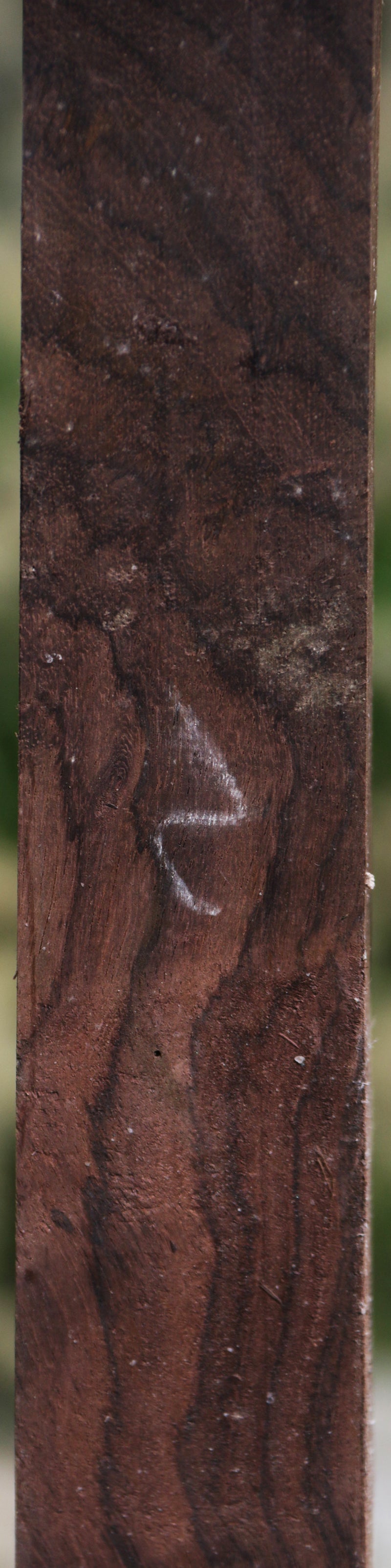 East Indian Rosewood Turning Square