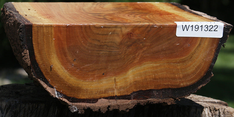 Wilga Live Edge Half Log