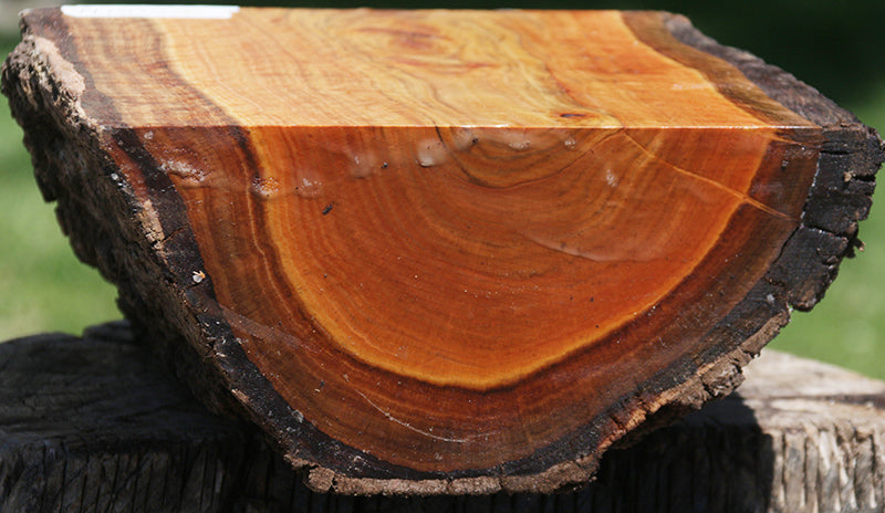 Extra Fancy Wilga Live Edge Half Log