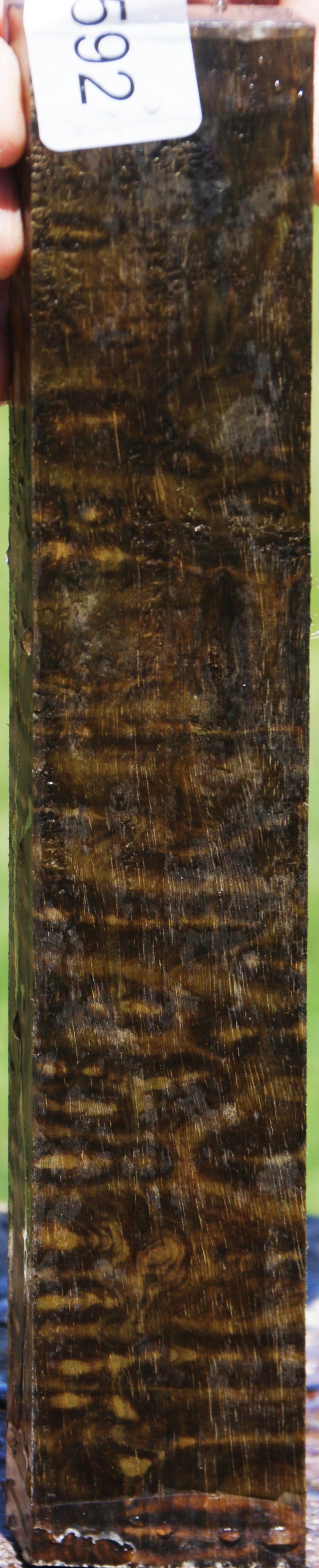 Exhibition Brazilian Blackheart Lumber