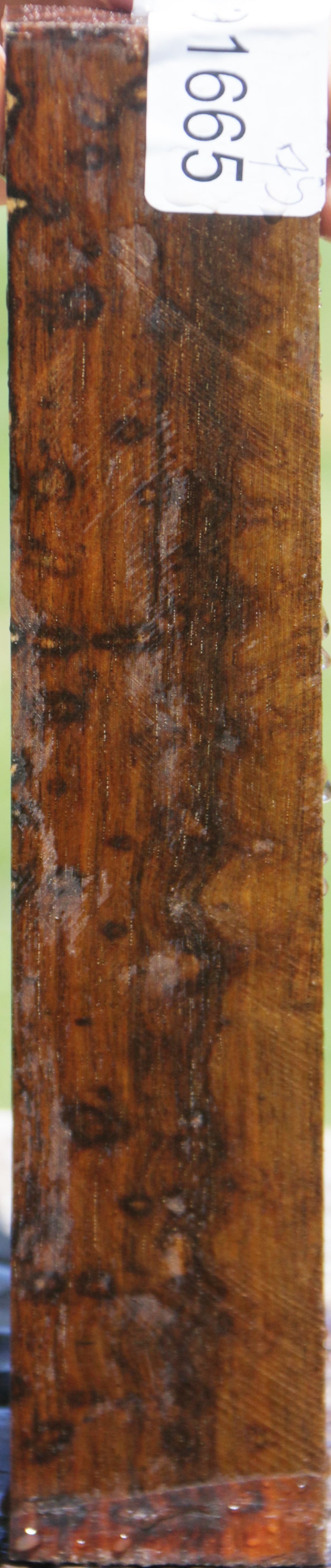 Exhibition Brazilian Blackheart Lumber