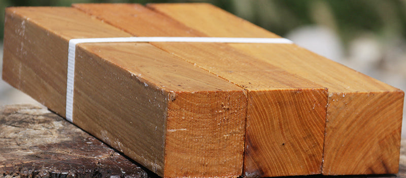 Chinese Elm Turning Square 3 Pack