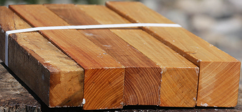 Chinese Elm Turning Square 5 Pack