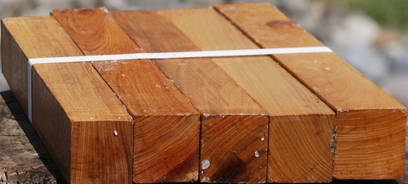 Chinese Elm Turning Square 5 Pack