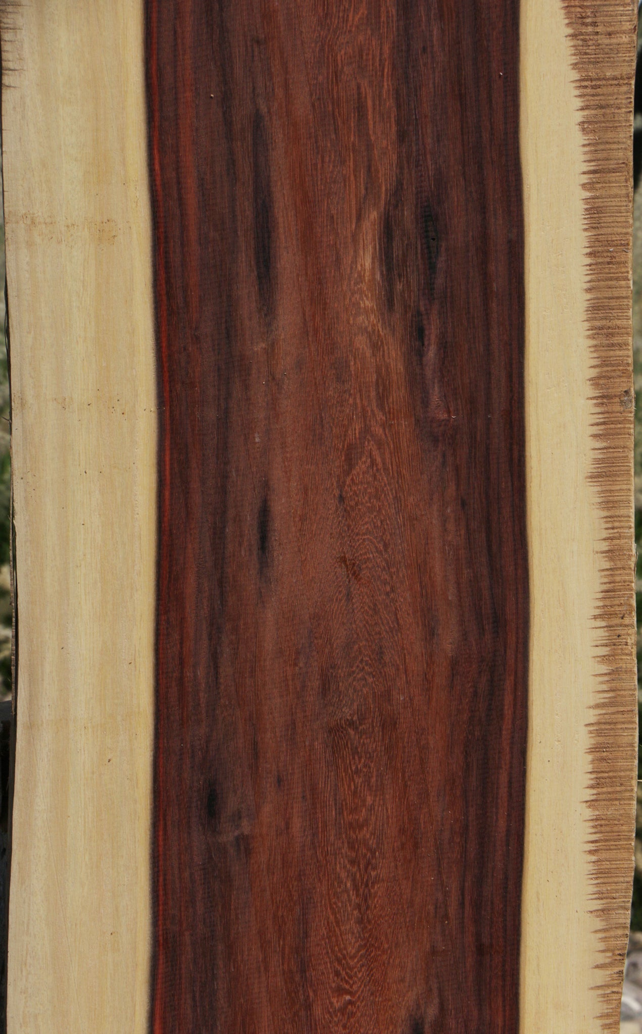 Katalox Live Edge Lumber