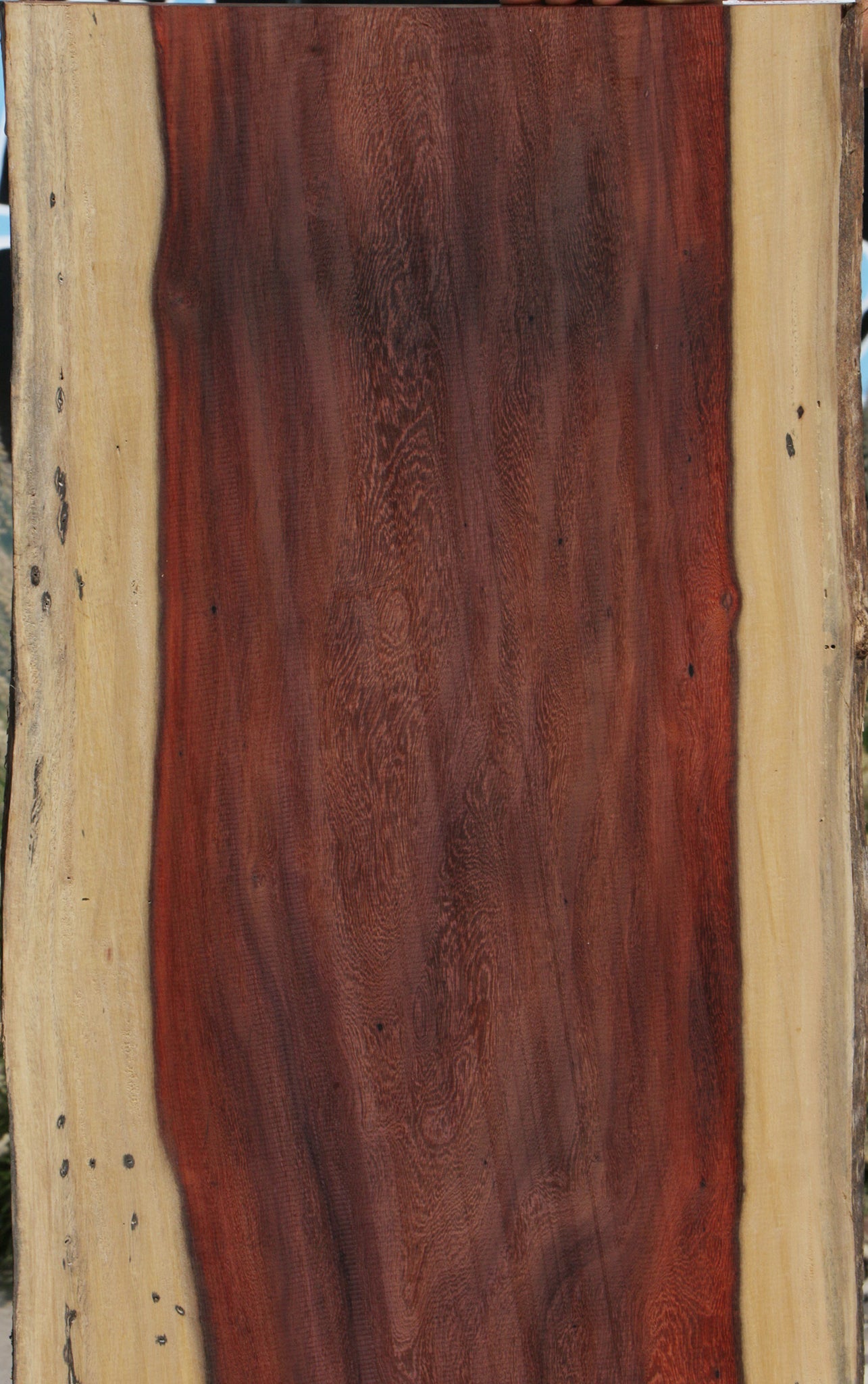Katalox Live Edge Lumber