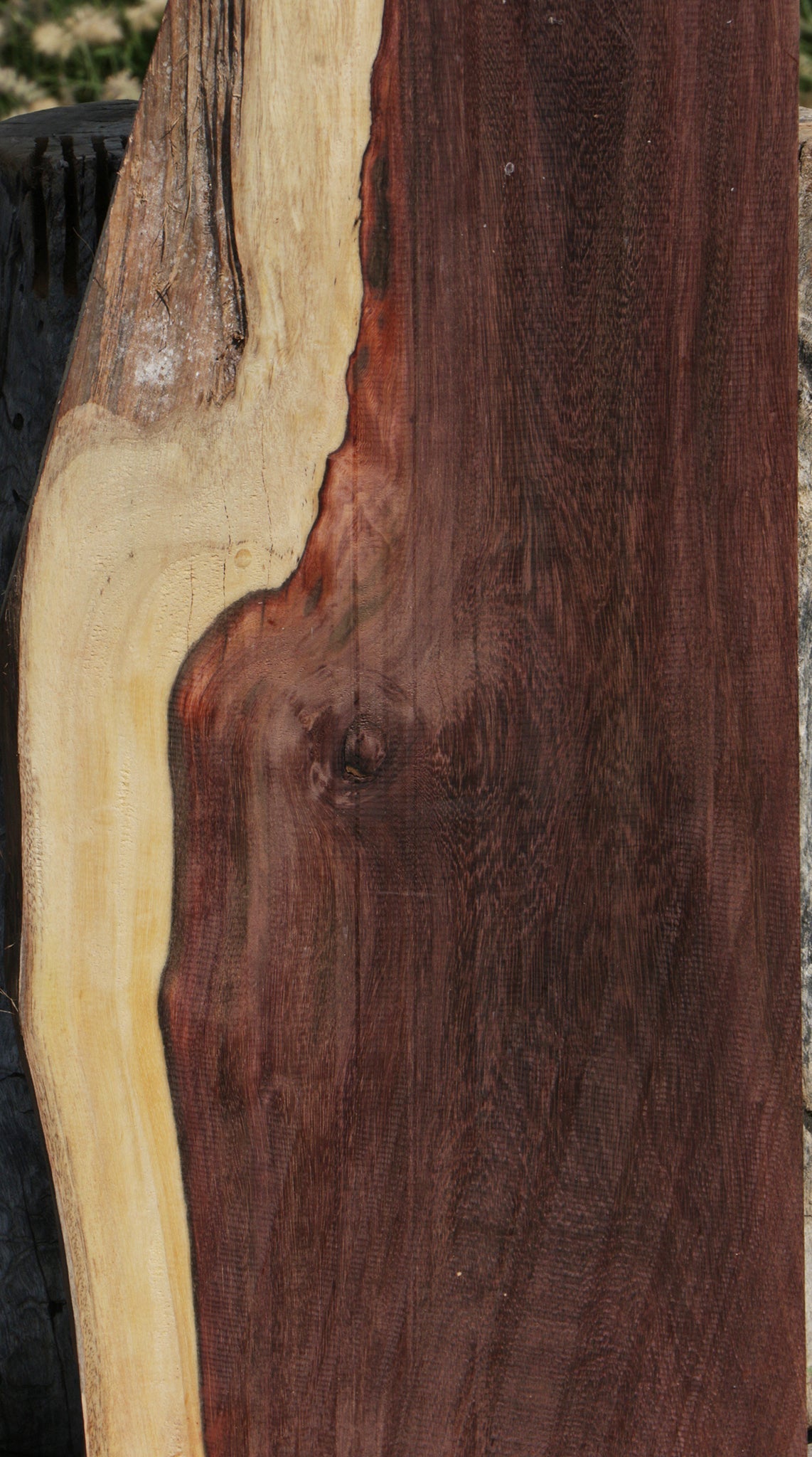 Katalox Live Edge Lumber