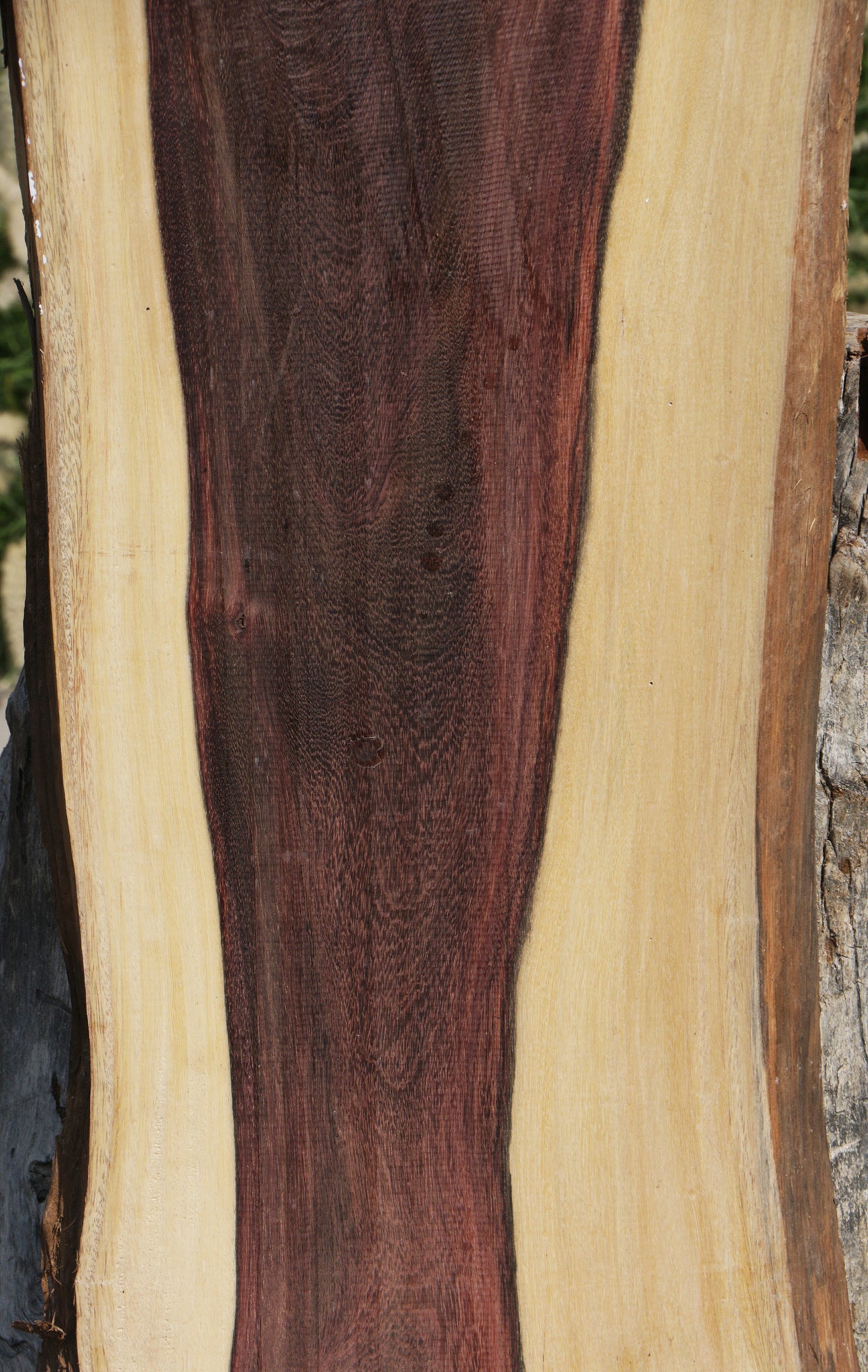 Katalox Live Edge Lumber