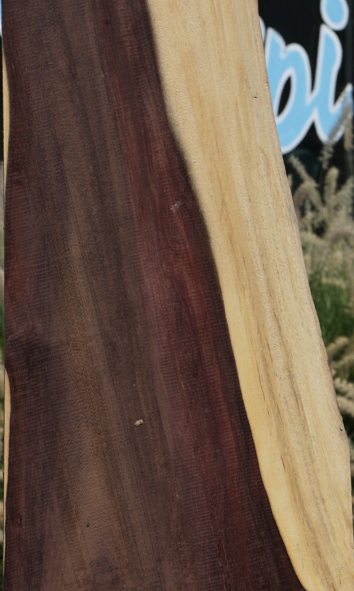 Katalox Live Edge Lumber