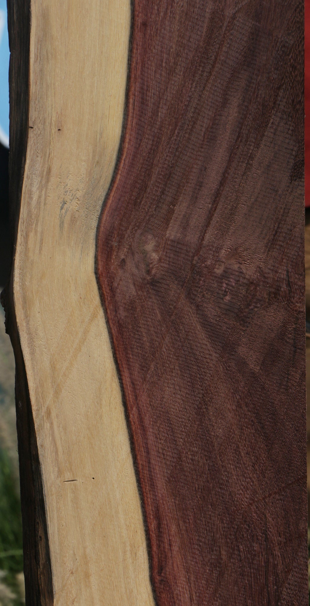 Katalox Live Edge Lumber