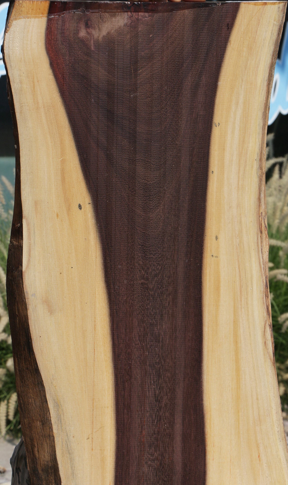 Katalox Live Edge Lumber