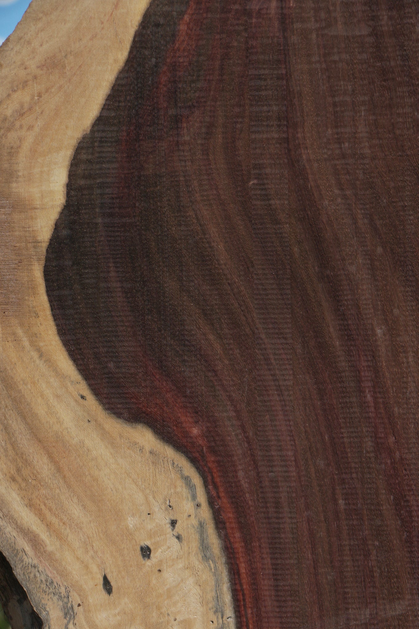 Katalox Live Edge Lumber