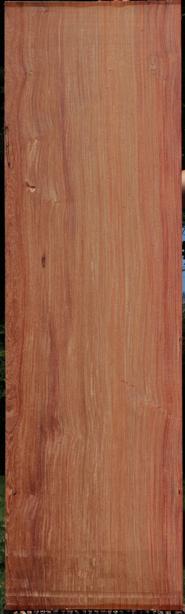 Extra Fancy Quartersawn Pau Rosa Lumber