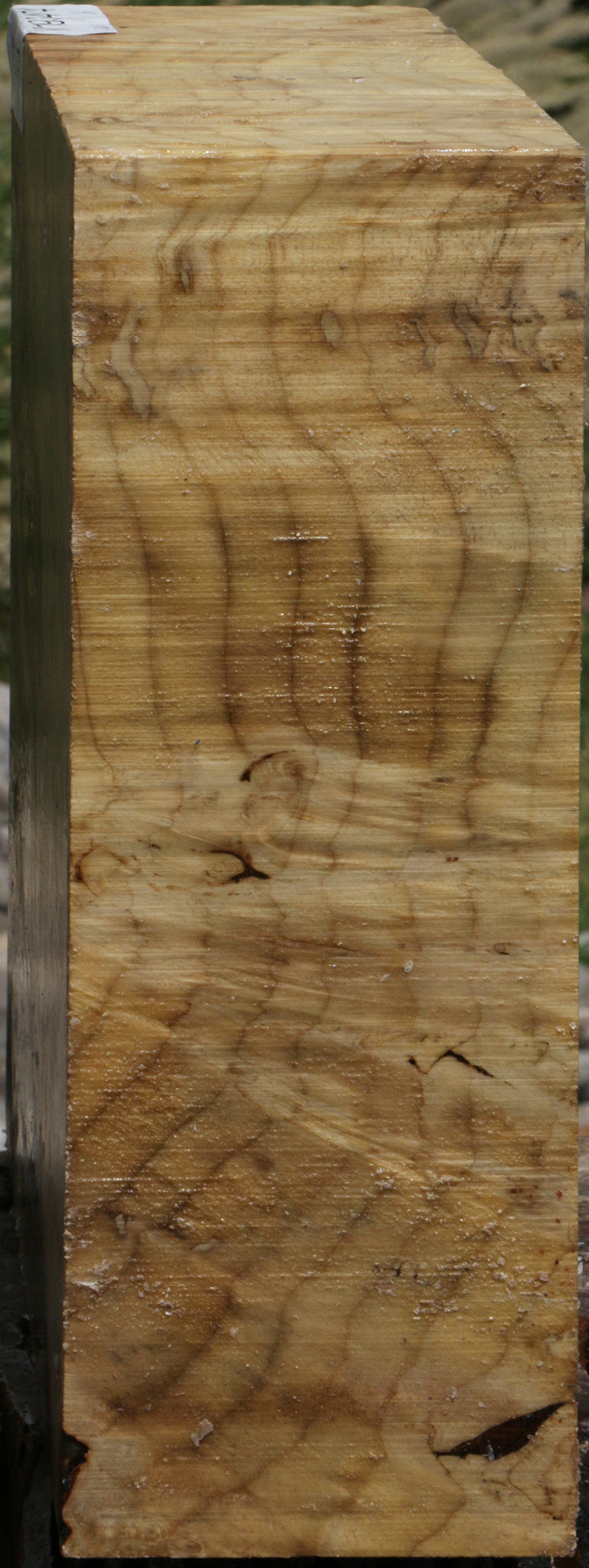 Myrtle Burl Bowl Blank