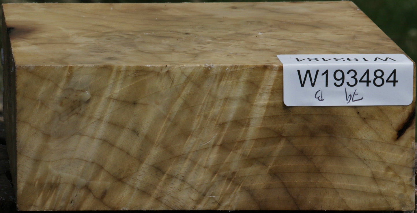 Myrtle Burl Bowl Blank