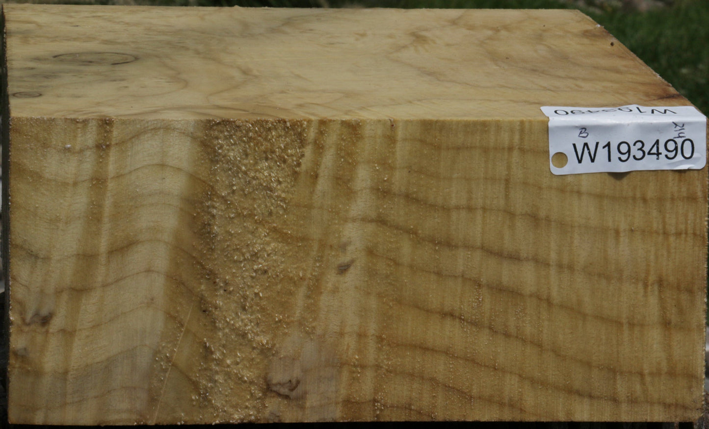 Myrtle Burl Bowl Blank