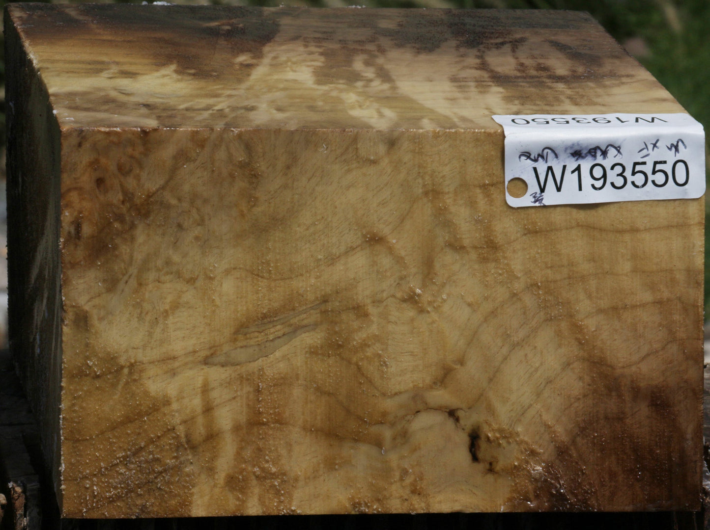 Extra Fancy Myrtle Bowl Blank