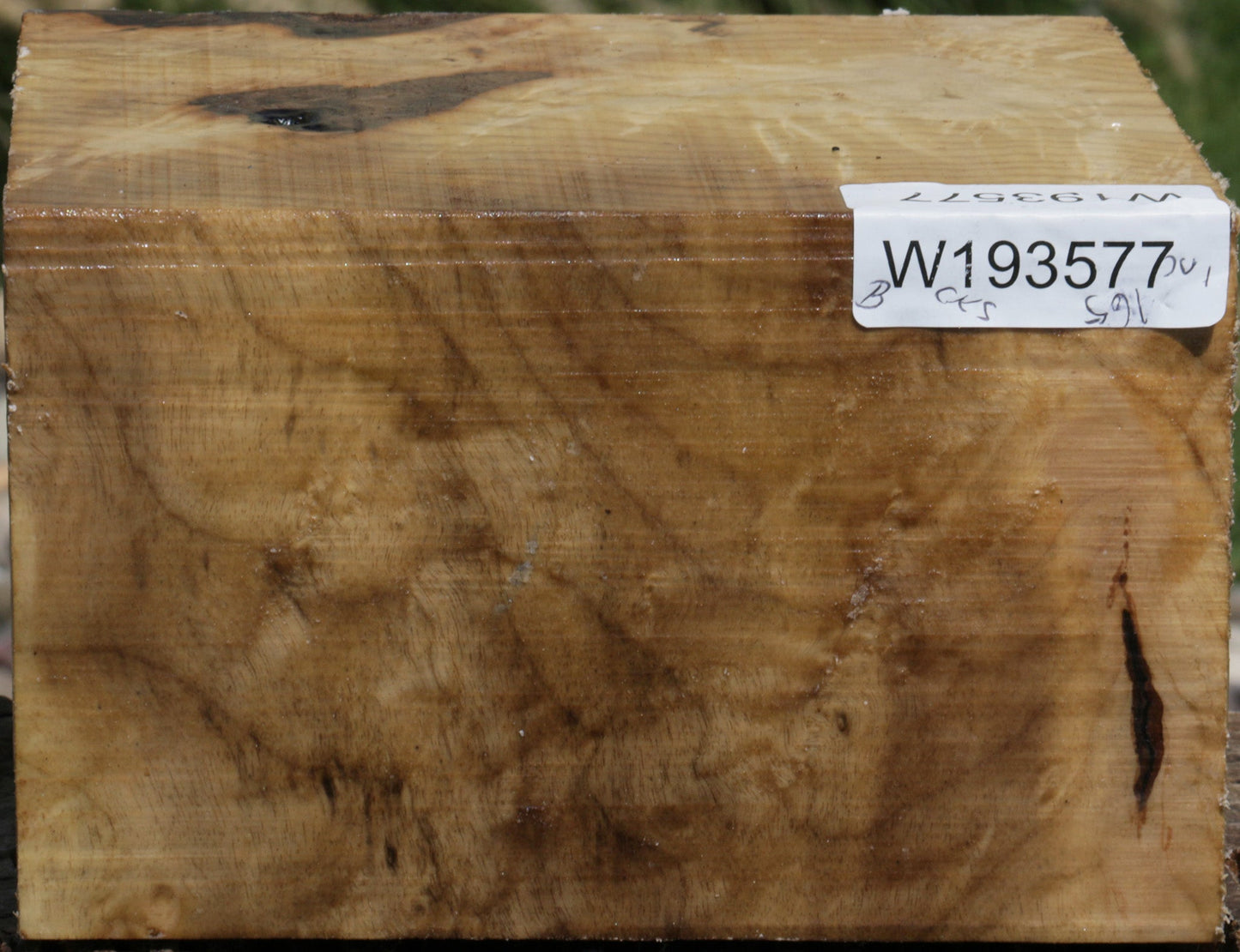 Myrtle Burl Bowl Blank