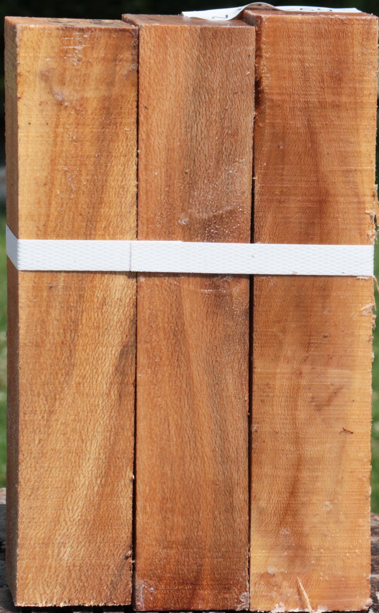 Sycamore Turning Square 3 Pack